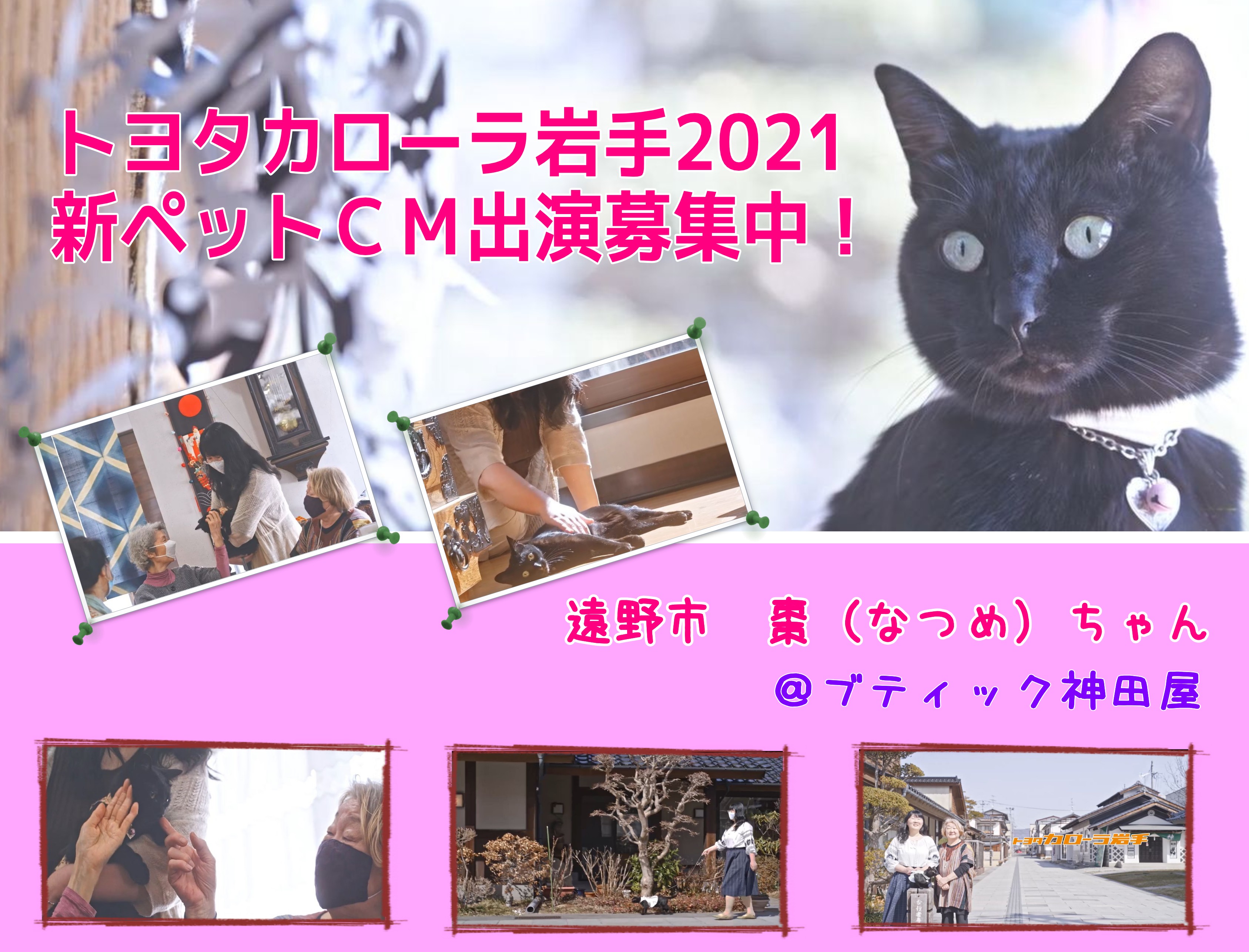 ペットCM】幸せエピソード大募集【トヨタカローラ岩手】 トヨタ