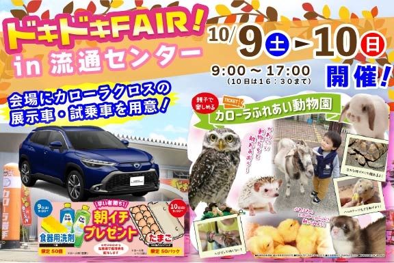 ドキドキイベント  トヨタカローラ岩手株式会社