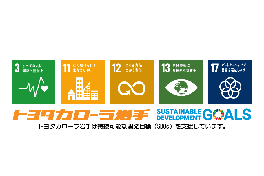 bZ4X_SDGs