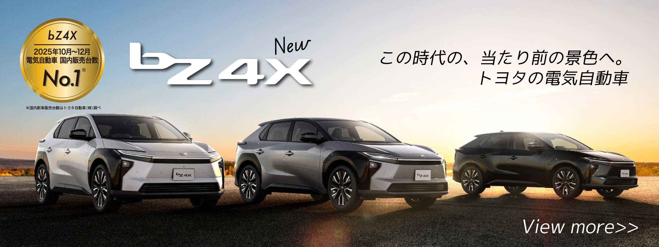 bz4x_dms_top_pc2026_2